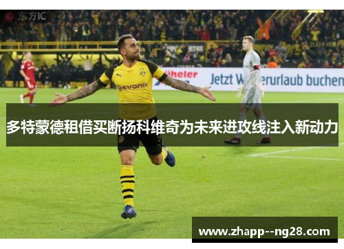 多特蒙德租借买断扬科维奇为未来进攻线注入新动力